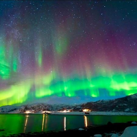 In The Heart Of The Aurora Borealis - Tromso City 외부 사진