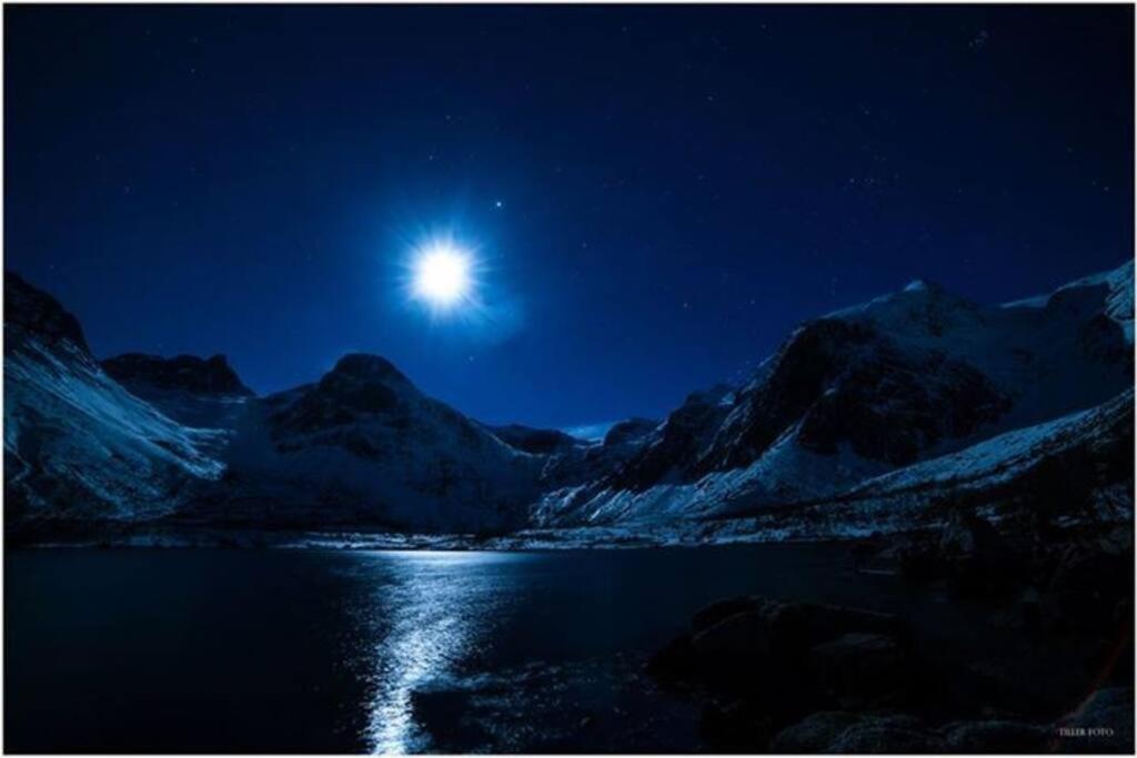 In The Heart Of The Aurora Borealis - Tromso City 외부 사진