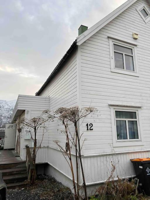In The Heart Of The Aurora Borealis - Tromso City 외부 사진