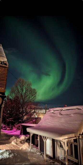 In The Heart Of The Aurora Borealis - Tromso City 외부 사진
